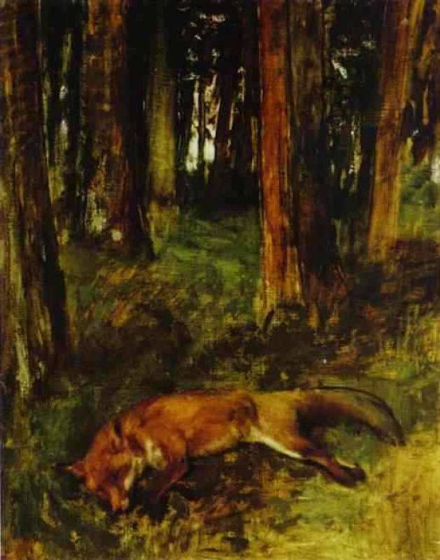 the dead fox.jpg